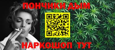 меф Гатчина