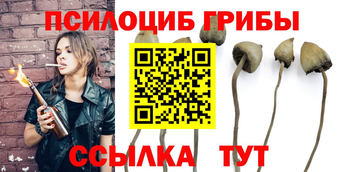Галлюциногенные грибы Cubensis Богородск
